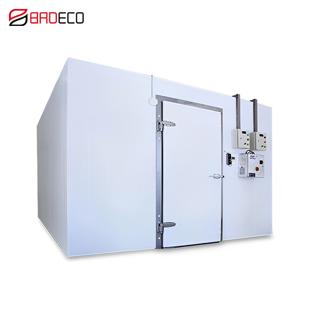 Walk-in Freezer, Refrigerated Storage for Frozen Meat and Fish