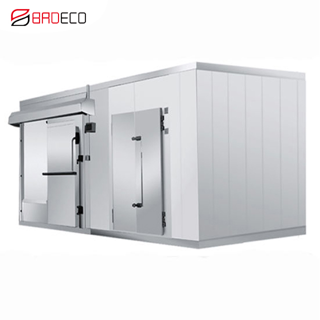 Modular Walk-in Cold Room Freezer for Seafood and Frozen Fish