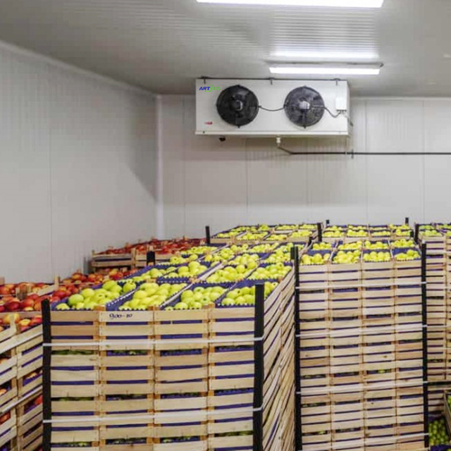 Refrigerated Room for Fruits and Vegetables