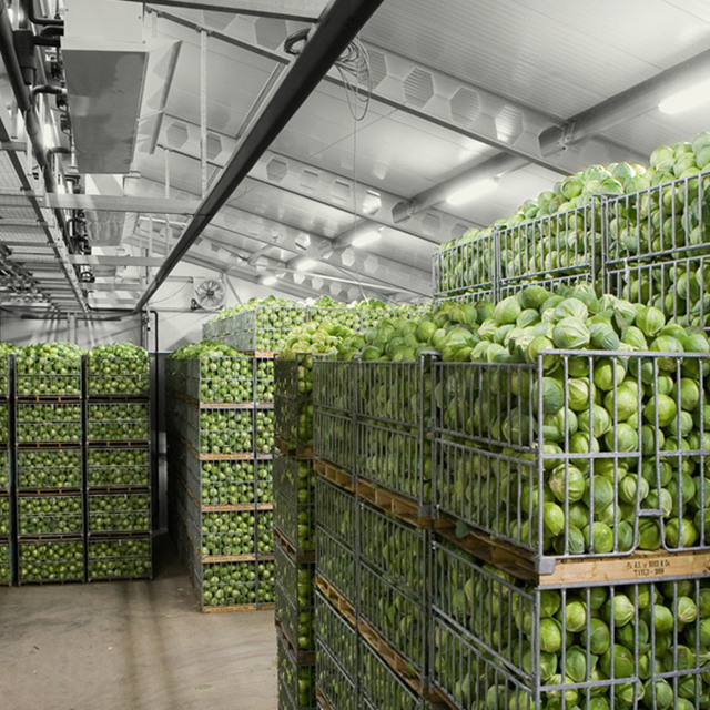 Refrigerated Room for Fruits and Vegetables