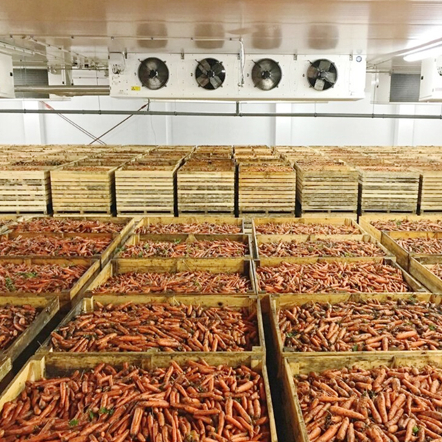 Refrigerated Room for Fruits and Vegetables