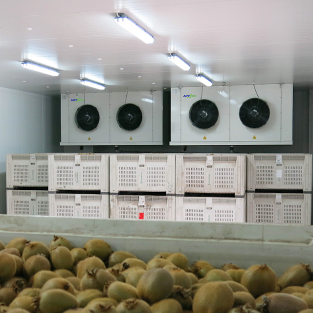 Refrigerated Room for Fruits and Vegetables