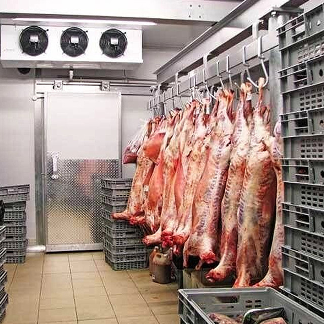 Walk-in Freezer, Refrigerated Storage for Frozen Meat and Fish