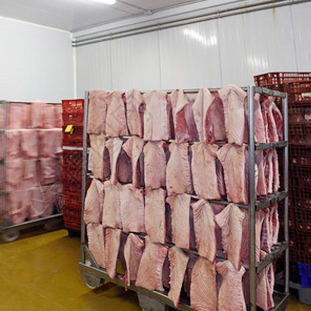 Walk-in Freezer, Refrigerated Storage for Frozen Meat and Fish